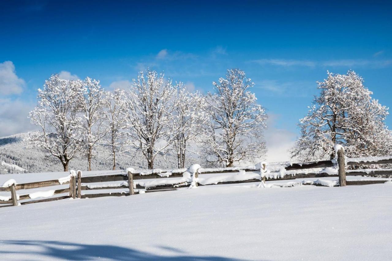 Hotel Alpenwelt Superior Flachau Zewnętrze zdjęcie